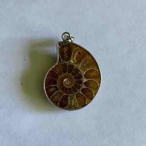 Ammonite Pendant
